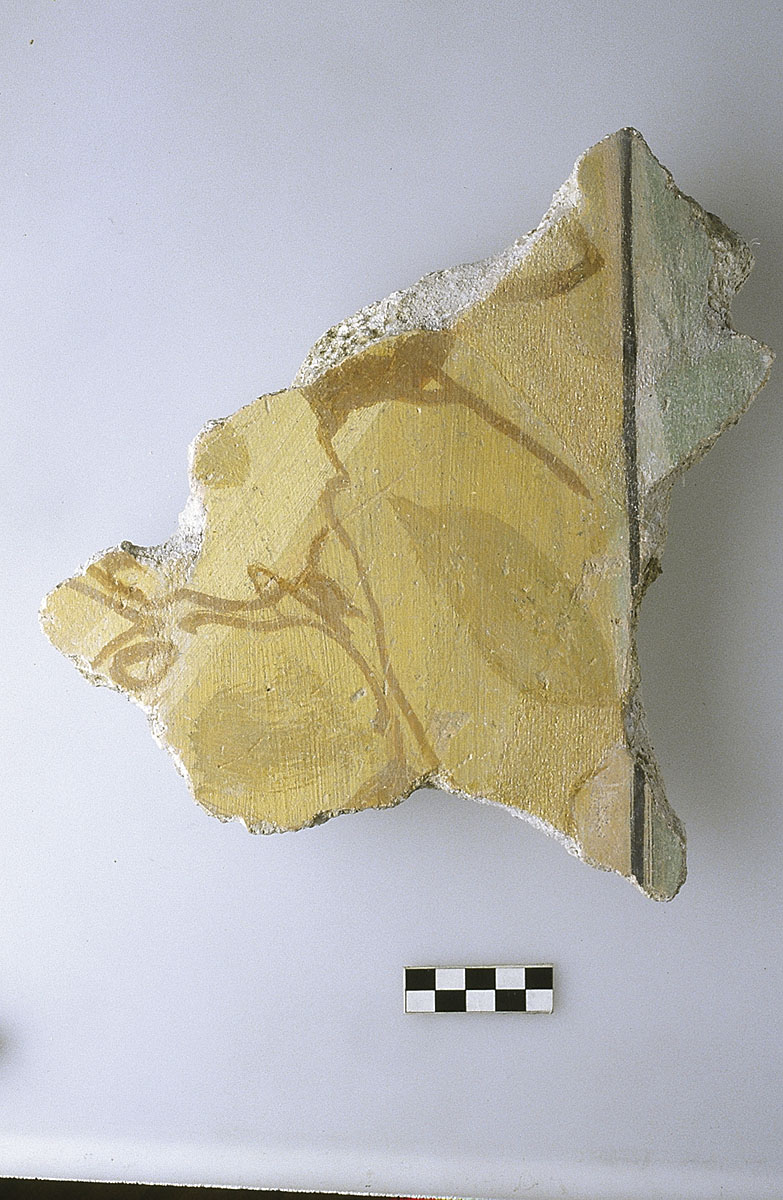 La decorazione parietale delle domus milano archeologia